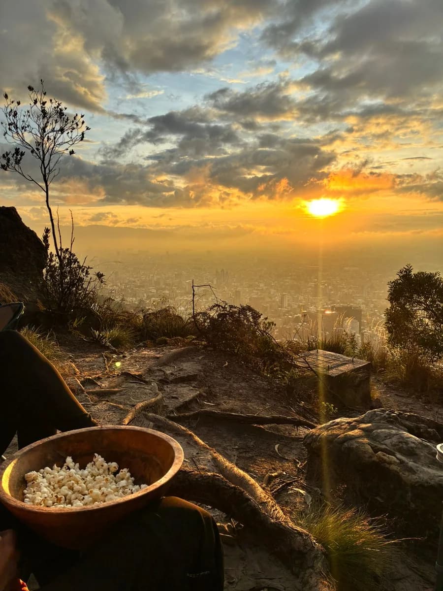 Senderismo + Atardecer en los Cerros Orientales (Nación Berries Networking)